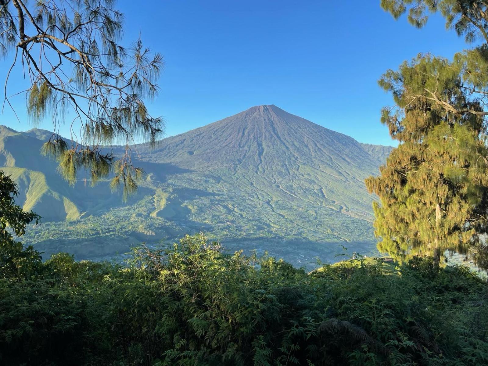 Avocado Homestay Tetebatu Ngoại thất bức ảnh
