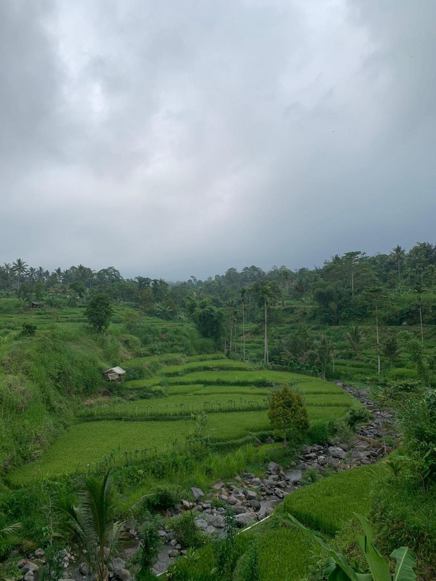 Avocado Homestay Tetebatu Ngoại thất bức ảnh