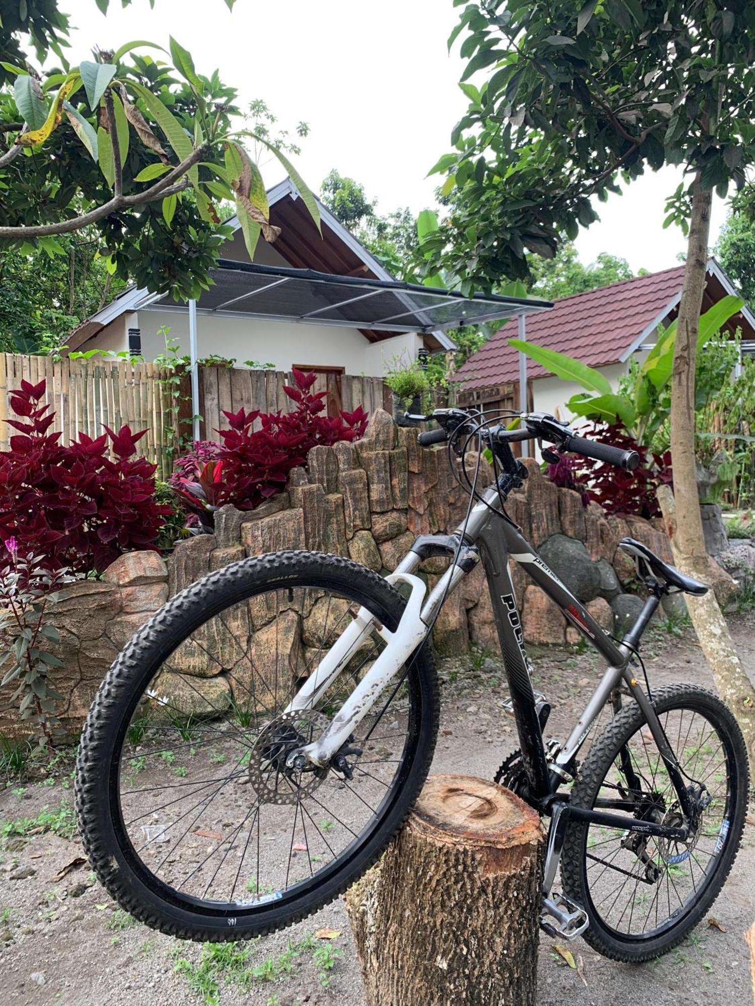 Avocado Homestay Tetebatu Ngoại thất bức ảnh