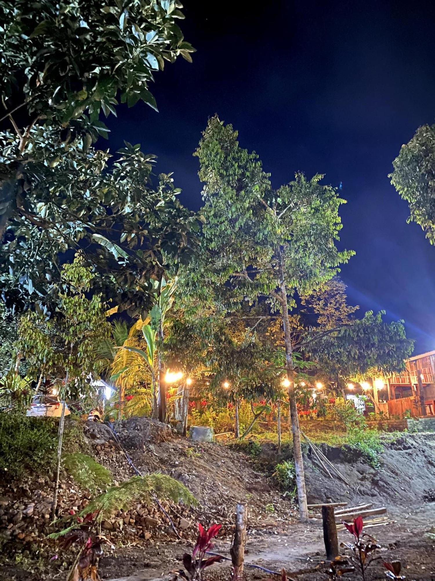 Avocado Homestay Tetebatu Ngoại thất bức ảnh